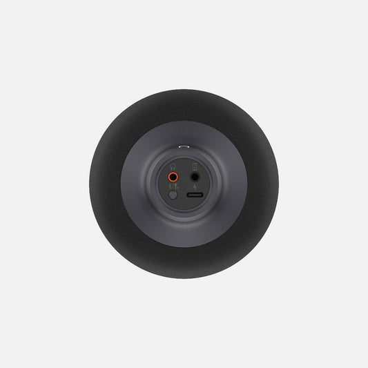 Xiaomi Mi Karaoke Microphone