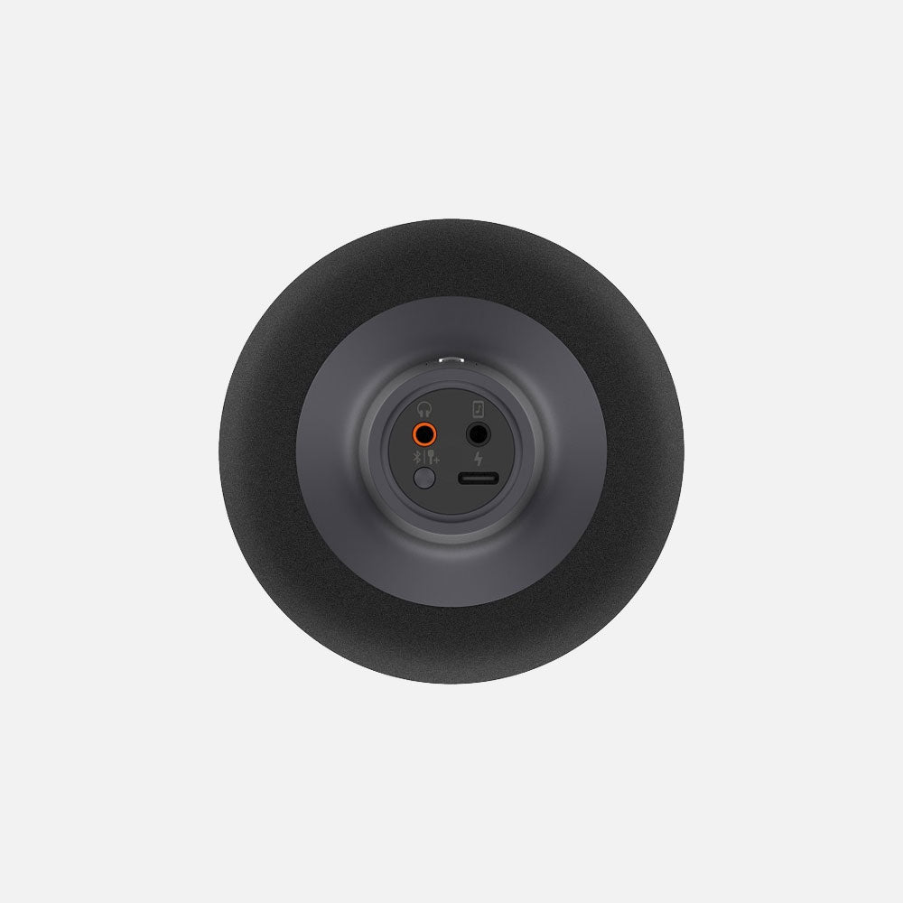 Xiaomi Mi Karaoke Microphone