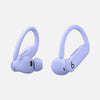 Apple Powerbeats Pro 2